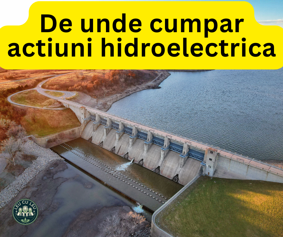 De Unde Cumpăr Acțiuni la Hidroelectrica