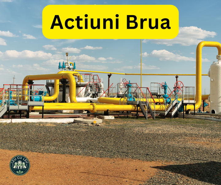 Actiuni brua - Oportunități pentru Investitori și Persoane Fizice